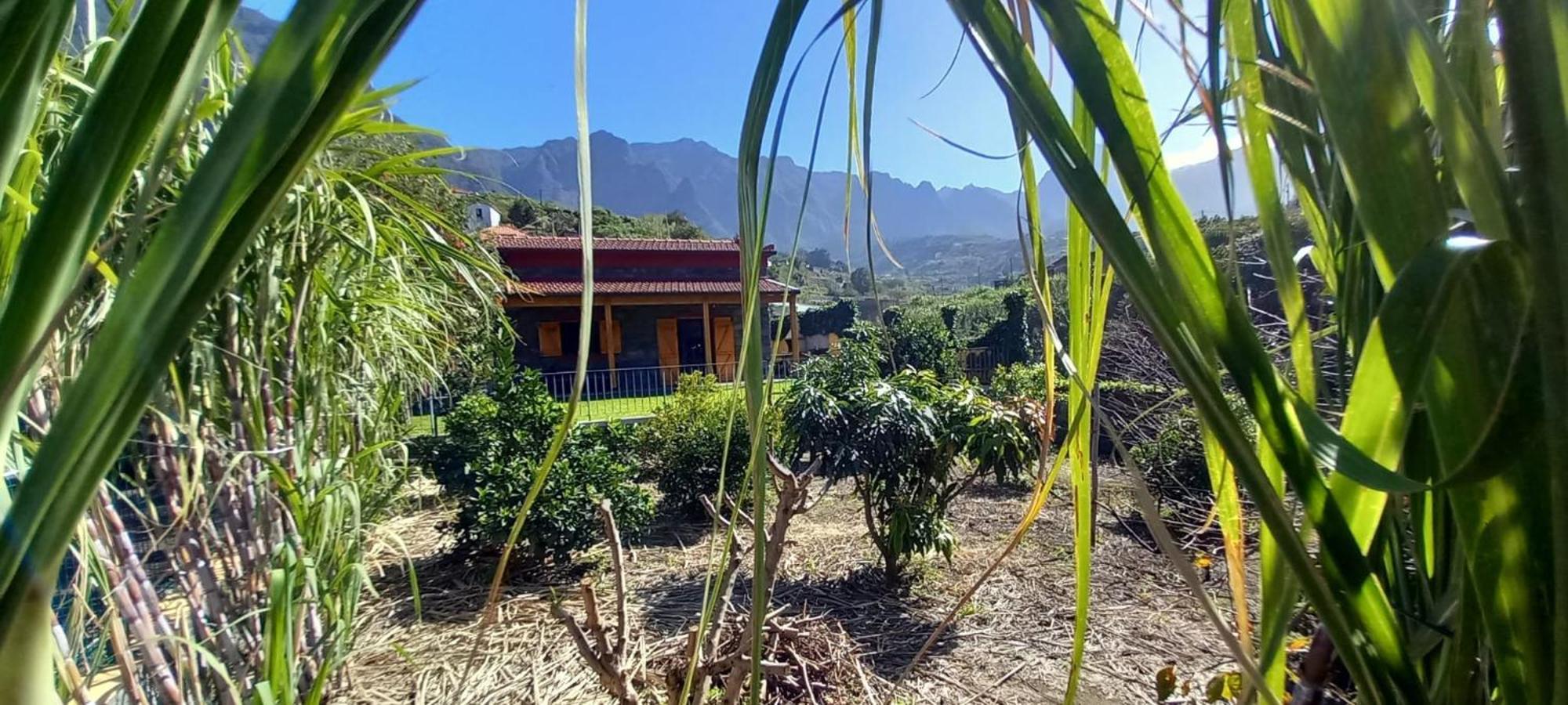 Refugio Do Limoeiro Villa Sao Vicente  Bagian luar foto